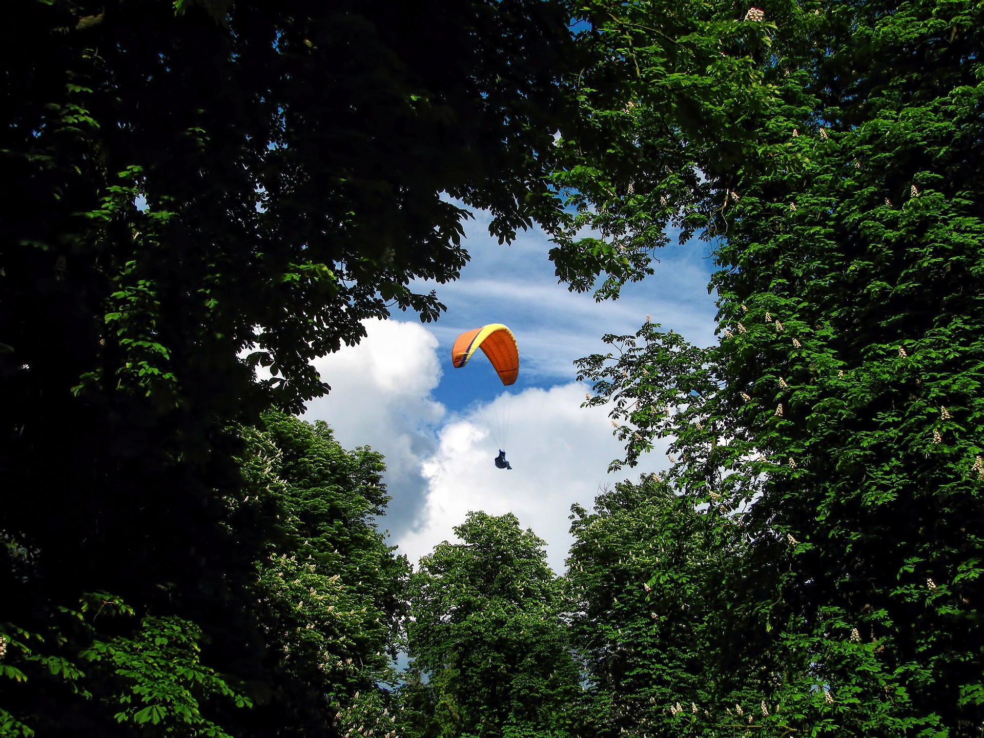 Skydiving and Paragliding in Wrocław