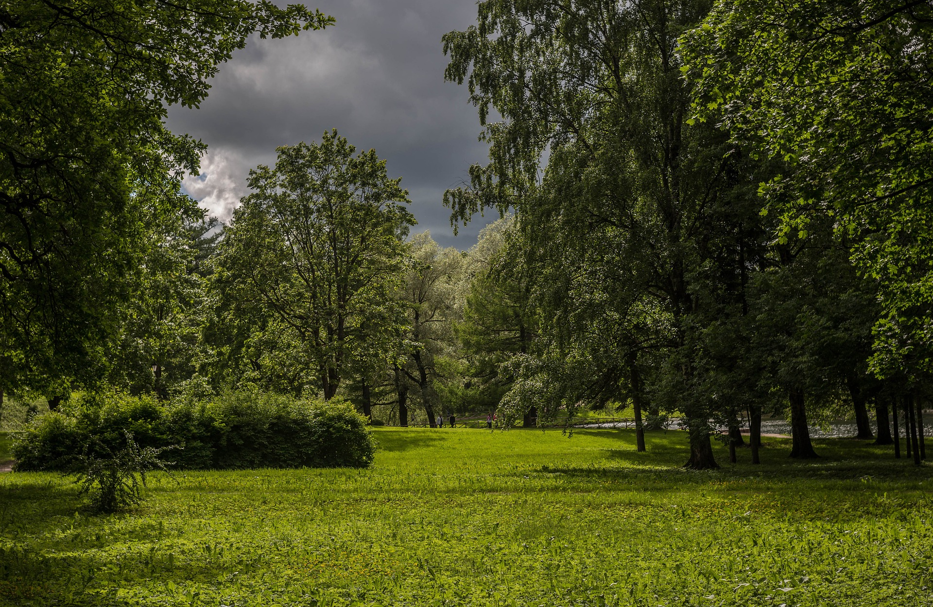 Discover the Green Heart of Wrocław